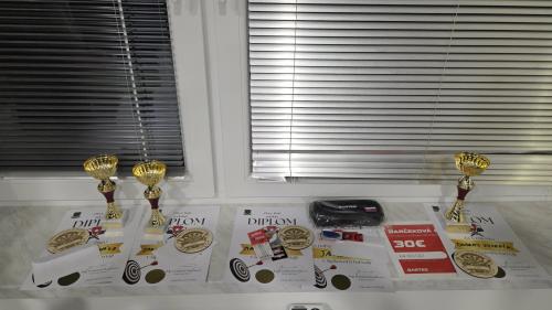 Amatérsky turnaj v&nbsp;klasických šípkach  5